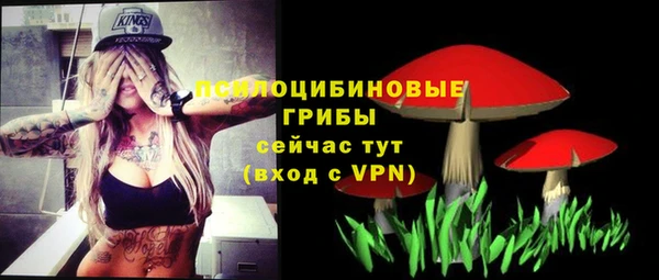гашик Кулебаки