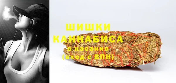 гашик Кулебаки
