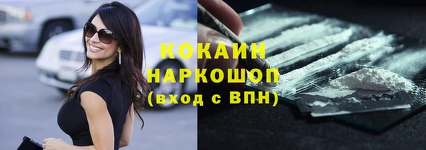 соль ск Кукмор