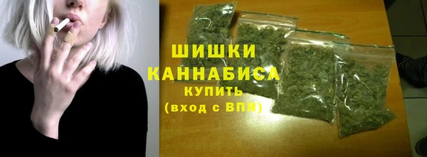 гашик Кулебаки