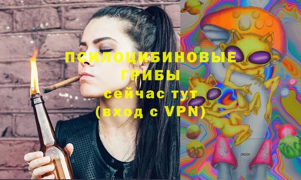 гашик Кулебаки