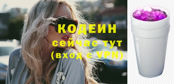 гашик Кулебаки