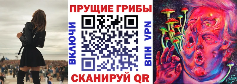 Галлюциногенные грибы MAGIC MUSHROOMS как найти Куса